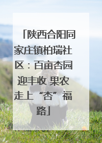 陕西合阳同家庄镇柏瑞社区：百亩杏园迎丰收 果农走上“杏”福路