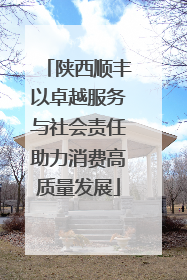 陕西顺丰以卓越服务与社会责任助力消费高质量发展