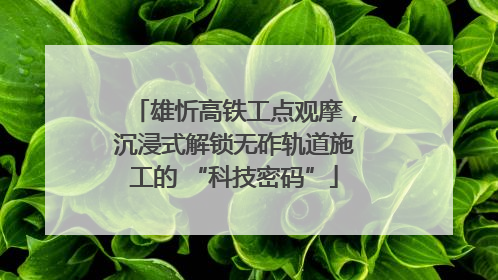 雄忻高铁工点观摩，沉浸式解锁无砟轨道施工的 “科技密码”
