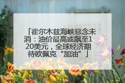 霍尔木兹海峡悬念未消：油价最高或飙至120美元，全球经济期待欧佩克“加油”