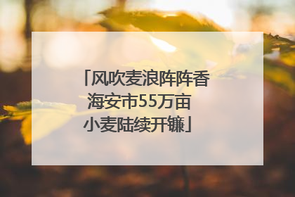 风吹麦浪阵阵香 海安市55万亩小麦陆续开镰