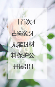 首次！古蜀象牙无灌封材料保护公开展出