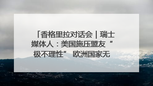 香格里拉对话会｜瑞士媒体人：美国施压盟友“极不理性” 欧洲国家无意与中国“脱钩断链”