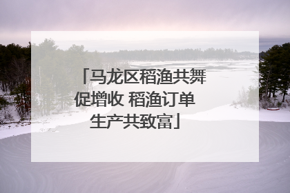 马龙区稻渔共舞促增收 稻渔订单生产共致富