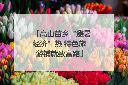 高山苗乡“避暑经济”热 特色旅游铺就致富路