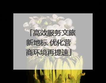 高效服务文旅新地标 优化营商环境再提速