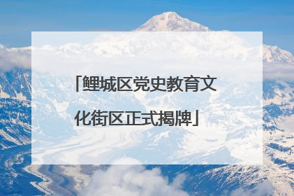 鲤城区党史教育文化街区正式揭牌