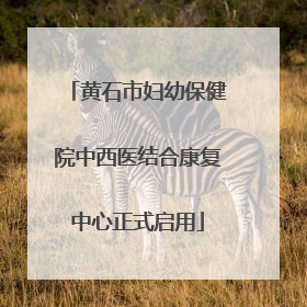 黄石市妇幼保健院中西医结合康复中心正式启用
