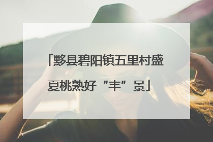 黟县碧阳镇五里村盛夏桃熟好“丰”景