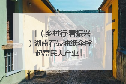 （乡村行·看振兴）湖南石鼓油纸伞撑起富民大产业