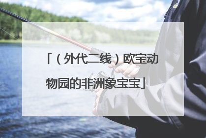 （外代二线）欧宝动物园的非洲象宝宝