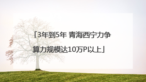 3年到5年 青海西宁力争算力规模达10万P以上