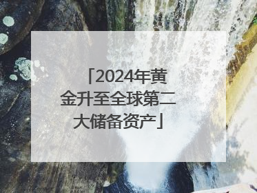 2024年黄金升至全球第二大储备资产