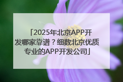 2025年北京APP开发哪家靠谱？细数北京优质专业的APP开发公司