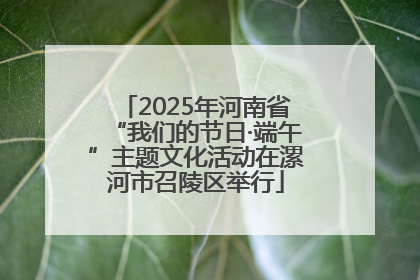 2025年河南省“我们的节日·端午”主题文化活动在漯河市召陵区举行