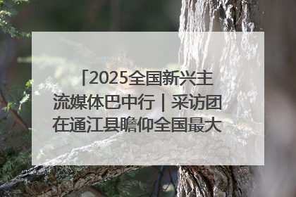 2025全国新兴主流媒体巴中行｜采访团在通江县瞻仰全国最大红军烈士陵园