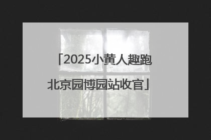 2025小黄人趣跑北京园博园站收官