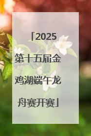 2025第十五届金鸡湖端午龙舟赛开赛
