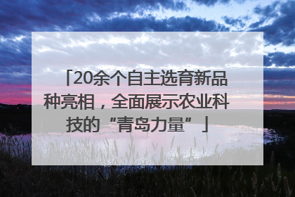 20余个自主选育新品种亮相，全面展示农业科技的“青岛力量”