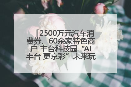 2500万元汽车消费券、60余家特色商户 丰台科技园“AI丰台 更京彩”未来玩家市集活动正式开幕