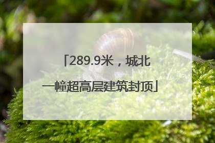 289.9米，城北一幢超高层建筑封顶