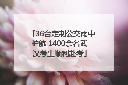 36台定制公交雨中护航 1400余名武汉考生顺利赴考