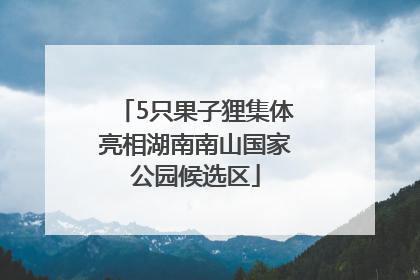 5只果子狸集体亮相湖南南山国家公园候选区