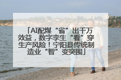 AI配煤“省”出千万效益，数字孪生“看”穿生产风险！宁阳县传统制造业“智”变突围