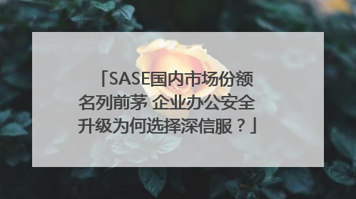 SASE国内市场份额名列前茅 企业办公安全升级为何选择深信服？