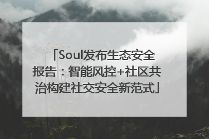 Soul发布生态安全报告：智能风控+社区共治构建社交安全新范式